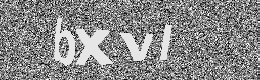 Verification image