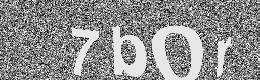 Verification image