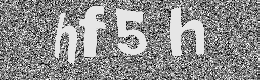 Verification image
