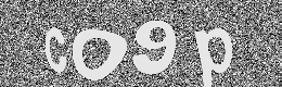 Verification image