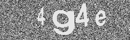 Verification image