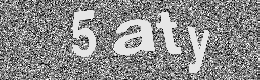 Verification image