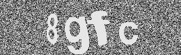 Verification image