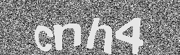 Verification image