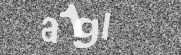 Verification image