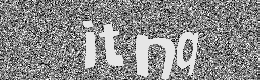 Verification image