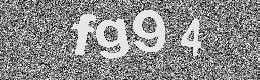 Verification image