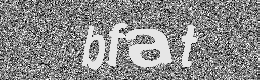 Verification image