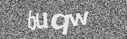 Verification image
