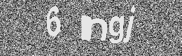 Verification image