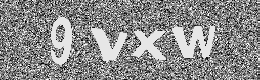 Verification image