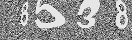 Verification image